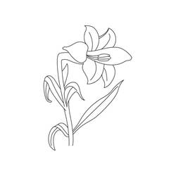 Dessin à colorier: Lys (Nature et saisons) #182382 - Coloriages à Imprimer Gratuits
