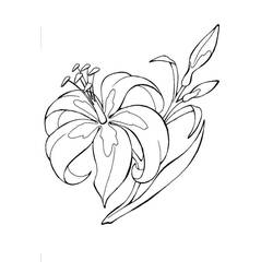Dessin à colorier: Lys (Nature et saisons) #182387 - Coloriages à Imprimer Gratuits