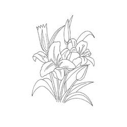 Dessin à colorier: Lys (Nature et saisons) #182388 - Coloriages à Imprimer Gratuits
