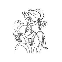 Dessin à colorier: Lys (Nature et saisons) #182390 - Coloriages à Imprimer Gratuits