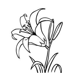 Dessin à colorier: Lys (Nature et saisons) #182392 - Coloriages à Imprimer Gratuits