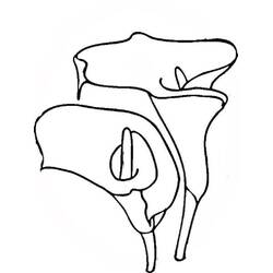 Dessin à colorier: Lys (Nature et saisons) #182394 - Coloriages à Imprimer Gratuits
