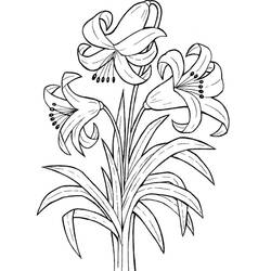 Dessin à colorier: Lys (Nature et saisons) #182401 - Coloriages à Imprimer Gratuits