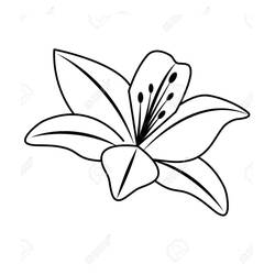 Dessin à colorier: Lys (Nature et saisons) #182403 - Coloriages à Imprimer Gratuits