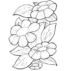 Dessin à colorier: Marguerite (Nature et saisons) #161367 - Coloriages à Imprimer Gratuits