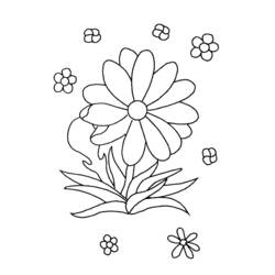 Dessin à colorier: Marguerite (Nature et saisons) #161390 - Coloriages à Imprimer Gratuits