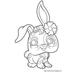 Dessin à colorier: Marguerite (Nature et saisons) #161395 - Coloriages à Imprimer Gratuits