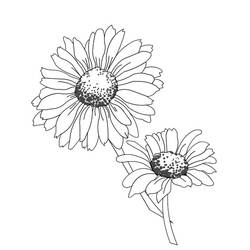 Dessin à colorier: Marguerite (Nature et saisons) #161445 - Coloriages à Imprimer Gratuits