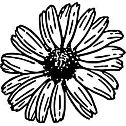 Dessin à colorier: Marguerite (Nature et saisons) #161507 - Coloriages à Imprimer Gratuits