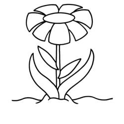 Dessin à colorier: Marguerite (Nature et saisons) #161596 - Coloriages à Imprimer Gratuits