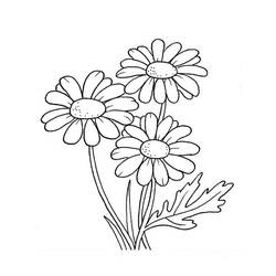 Dessin à colorier: Marguerite (Nature et saisons) #176526 - Coloriages à Imprimer Gratuits