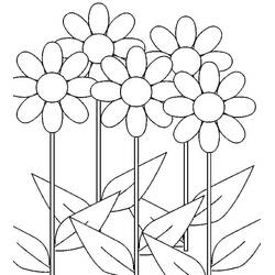 Dessin à colorier: Marguerite (Nature et saisons) #176528 - Coloriages à Imprimer Gratuits