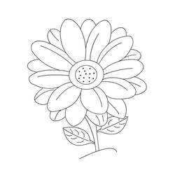 Dessin à colorier: Marguerite (Nature et saisons) #176529 - Coloriages à Imprimer Gratuits