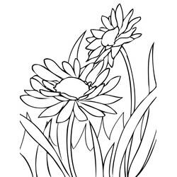 Dessin à colorier: Marguerite (Nature et saisons) #176530 - Coloriages à Imprimer Gratuits