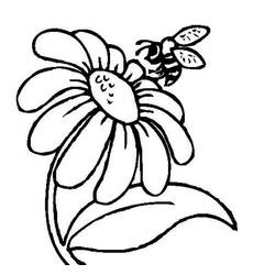 Dessin à colorier: Marguerite (Nature et saisons) #176531 - Coloriages à Imprimer Gratuits