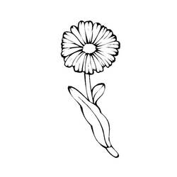 Dessin à colorier: Marguerite (Nature et saisons) #176534 - Coloriages à Imprimer Gratuits
