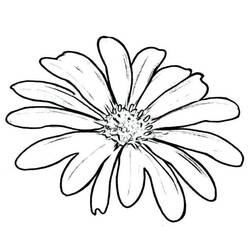 Dessin à colorier: Marguerite (Nature et saisons) #176535 - Coloriages à Imprimer Gratuits