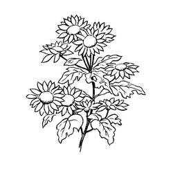 Dessin à colorier: Marguerite (Nature et saisons) #176536 - Coloriages à Imprimer Gratuits