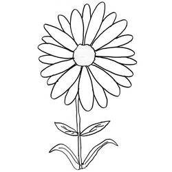 Dessin à colorier: Marguerite (Nature et saisons) #176537 - Coloriages à Imprimer Gratuits
