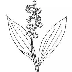 Dessin à colorier: Muguet (Nature et saisons) #176398 - Coloriages à Imprimer Gratuits