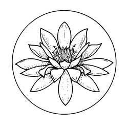 Coloriage Nénuphar (Nature et saisons) #221876 à imprimer et colorier