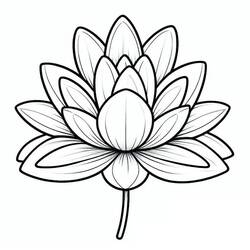 Coloriage Nénuphar (Nature et saisons) #221885 à imprimer et colorier