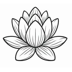Coloriage Nénuphar (Nature et saisons) #221892 à imprimer et colorier