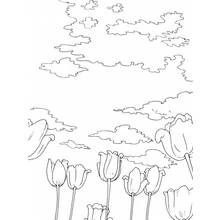 Coloriage Nuage (Nature et saisons) #157458 à imprimer et colorier