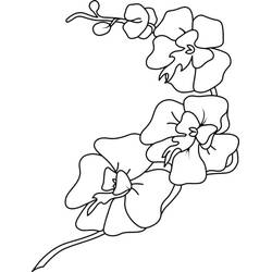Dessins à colorier: Orchidée - Coloriages à Imprimer Gratuits