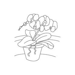 Dessin à colorier: Orchidée (Nature et saisons) #176364 - Coloriages à Imprimer Gratuits