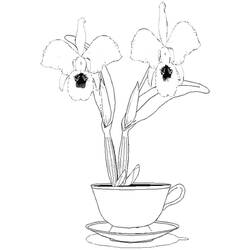 Dessin à colorier: Orchidée (Nature et saisons) #176384 - Coloriages à Imprimer Gratuits