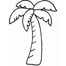 Dessins à colorier: Palmier - Coloriages à Imprimer Gratuits