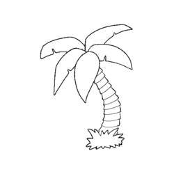 Dessin à colorier: Palmier (Nature et saisons) #161130 - Coloriages à Imprimer Gratuits
