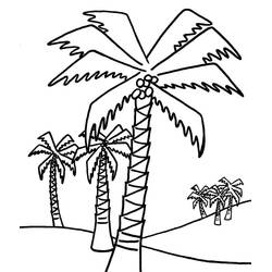 Dessin à colorier: Palmier (Nature et saisons) #200718 - Coloriages à Imprimer Gratuits