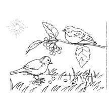 Dessin à colorier: Paysage (Nature et saisons) #165770 - Coloriages à Imprimer Gratuits