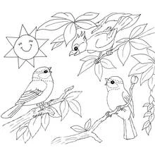 Dessin à colorier: Paysage (Nature et saisons) #165771 - Coloriages à Imprimer Gratuits