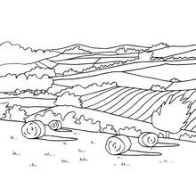 Dessin à colorier: Paysage (Nature et saisons) #165777 - Coloriages à Imprimer Gratuits