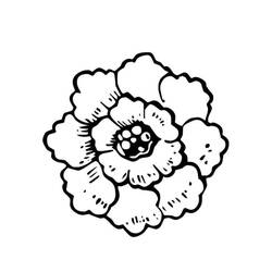 Dessin à colorier: Pivoine (Nature et saisons) #176418 - Coloriages à Imprimer Gratuits