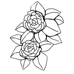 Dessin à colorier: Pivoine (Nature et saisons) #176419 - Coloriages à Imprimer Gratuits