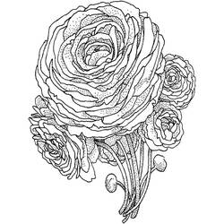 Dessin à colorier: Pivoine (Nature et saisons) #176420 - Coloriages à Imprimer Gratuits