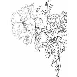 Dessin à colorier: Pivoine (Nature et saisons) #176425 - Coloriages à Imprimer Gratuits