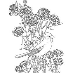 Dessin à colorier: Pivoine (Nature et saisons) #176428 - Coloriages à Imprimer Gratuits
