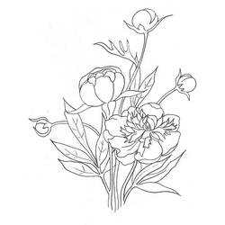 Dessin à colorier: Pivoine (Nature et saisons) #176431 - Coloriages à Imprimer Gratuits
