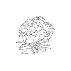 Dessin à colorier: Pivoine (Nature et saisons) #176437 - Coloriages à Imprimer Gratuits