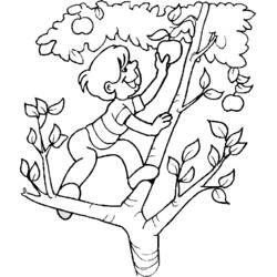 Dessin à colorier: Pommier (Nature et saisons) #163444 - Coloriages à Imprimer Gratuits