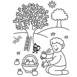 Dessin à colorier: Pommier (Nature et saisons) #163445 - Coloriages à Imprimer Gratuits