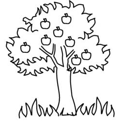 Dessin à colorier: Pommier (Nature et saisons) #163457 - Coloriages à Imprimer Gratuits
