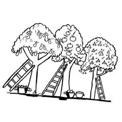 Dessin à colorier: Pommier (Nature et saisons) #163463 - Coloriages à Imprimer Gratuits