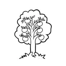 Dessin à colorier: Pommier (Nature et saisons) #163492 - Coloriages à Imprimer Gratuits