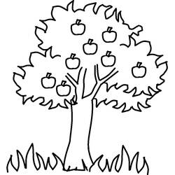 Dessin à colorier: Pommier (Nature et saisons) #163738 - Coloriages à Imprimer Gratuits